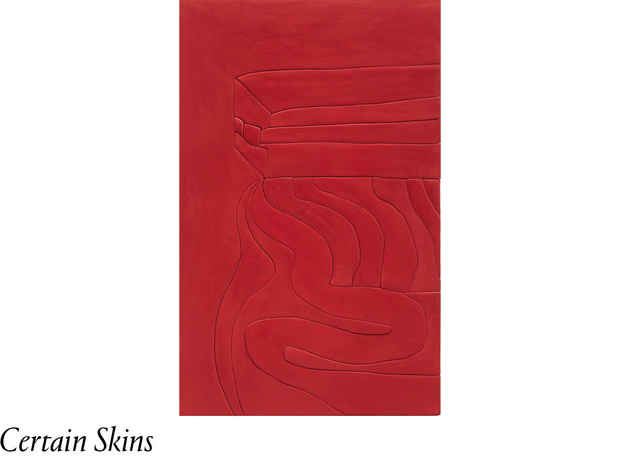 poster for “Certain Skins” Exhibition