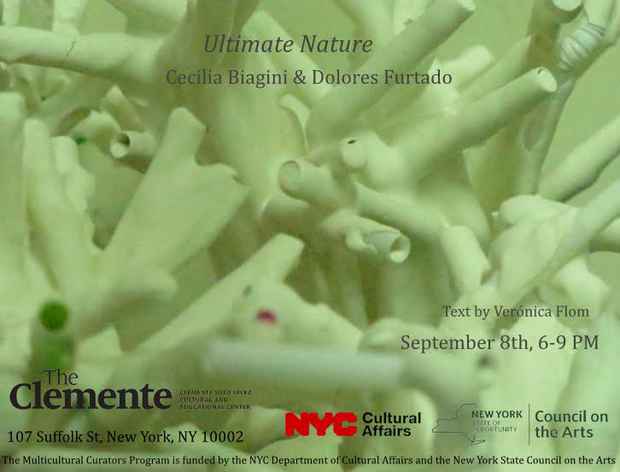 poster for Cecilia Biagini & Dolores Furtado “Ultimate Nature”