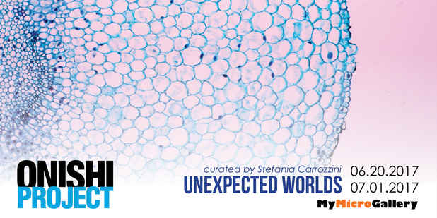 poster for “Unexpected Worlds” Exhibition