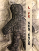poster for Liz Ndoye “Life Sentence”