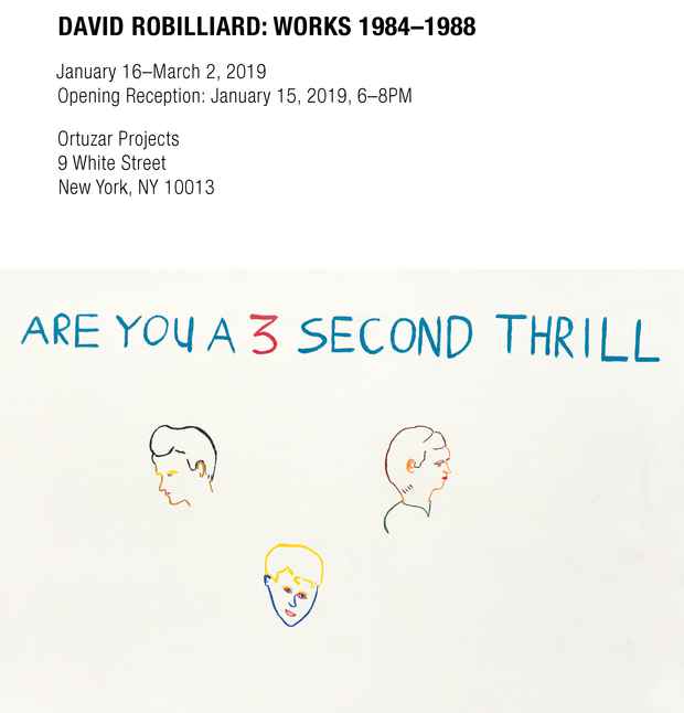 poster for David Robilliard “Works 1984-1988”