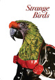 poster for “Strange Birds” Exhibition