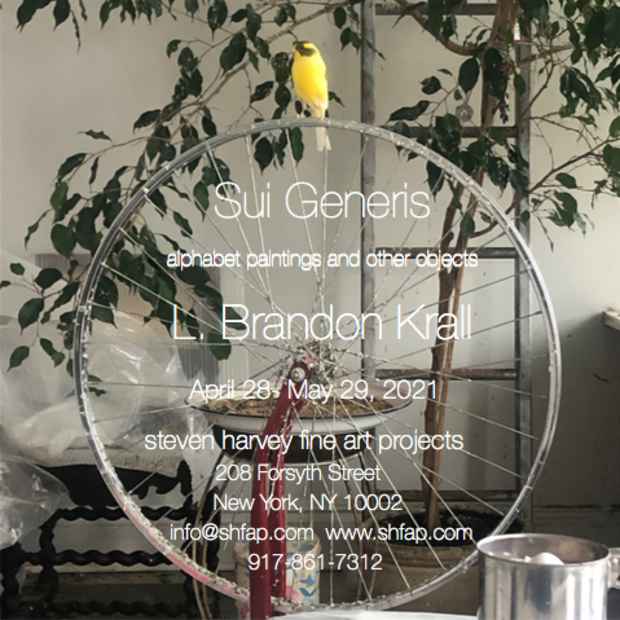 poster for L. Brandon Krall “Sui Generis”