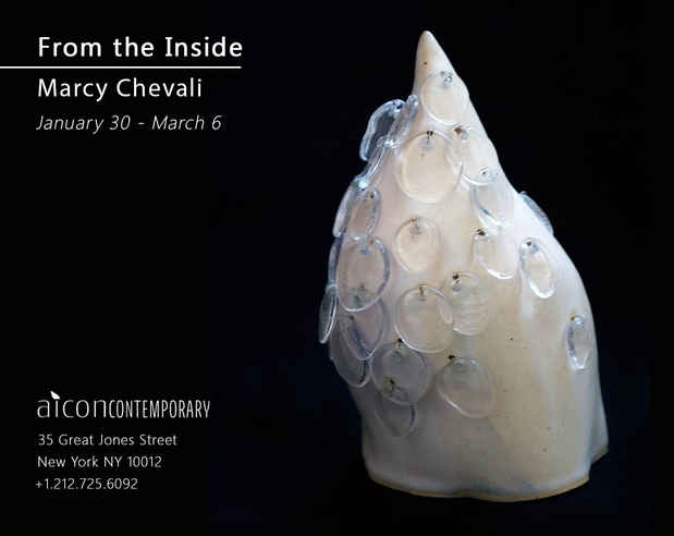 poster for Marcy Chevali “From the Inside’