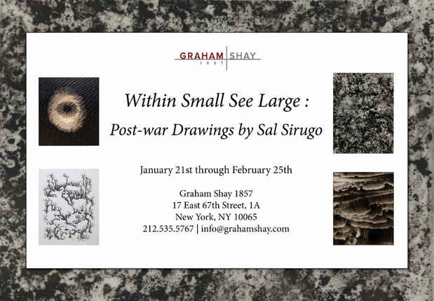 poster for Sal Sirugo “Within Small See Large”