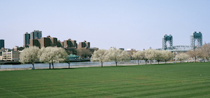 poster for Randall's Island Park